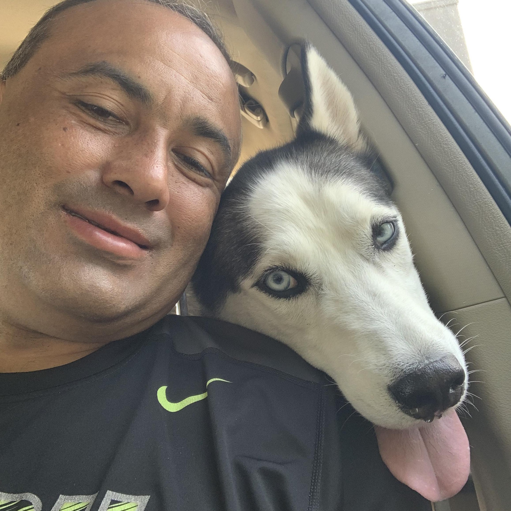 Nanook - Siberian Husky